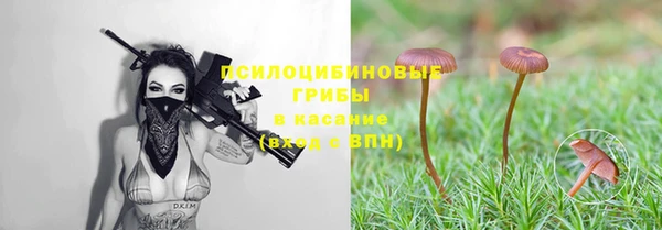амф Абдулино
