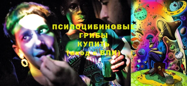 дурь Покачи