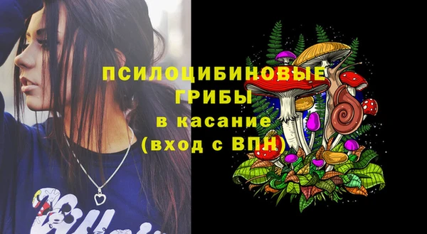 дурь Покачи