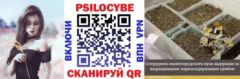 Галлюциногенные грибы MAGIC MUSHROOMS  Алдан 